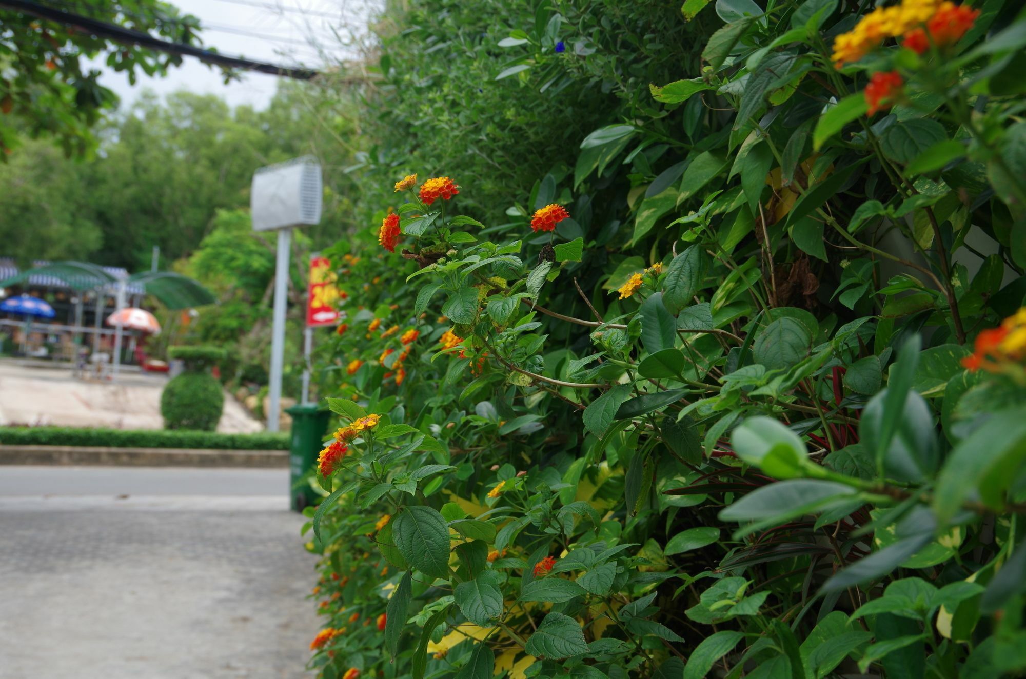 Ngoc Chau Phu Quoc Hotel Exteriör bild